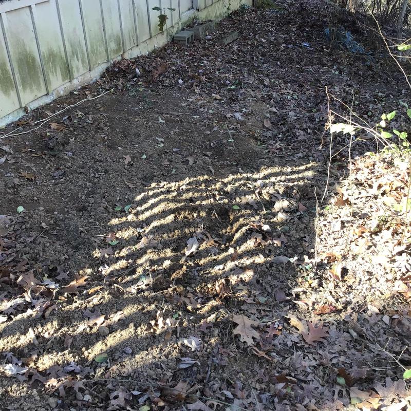 Field soil excavation near building foundation, Chattanooga TN
