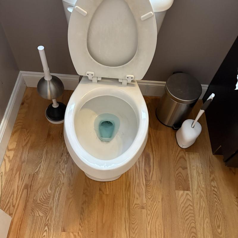 Toilet bowl with blue cleaner dye and open lid