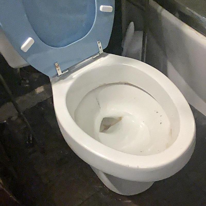Toilet bowl with open blue seat in bathroom