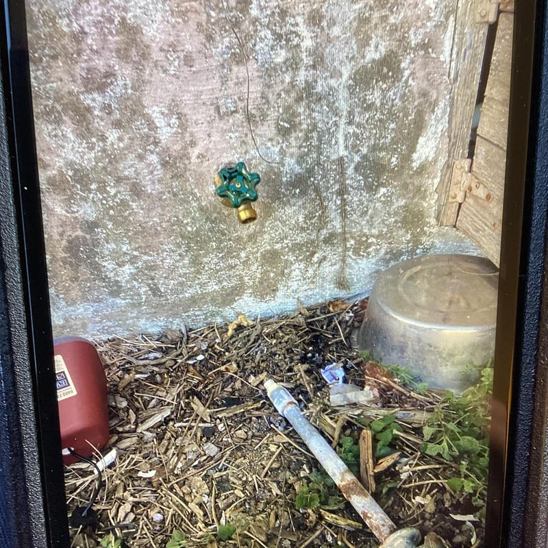 Front hose spigot on exterior wall with garden debris