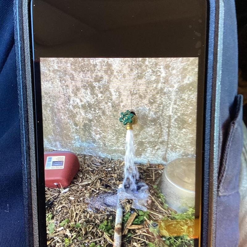Front yard hose spigot with water leak and spray