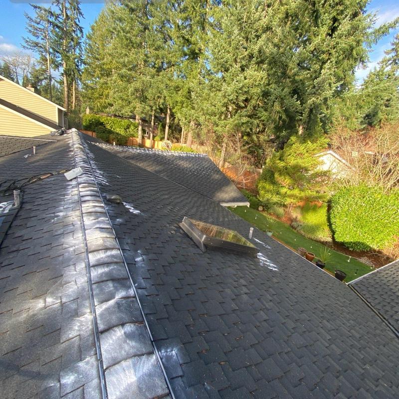 Roof shingles with moss treatment and cleanup in Mill Creek