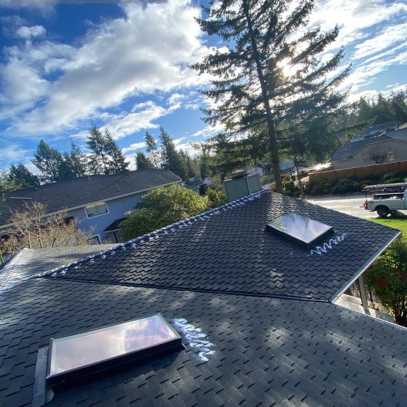Roof shingles with cleaned skylights and treated moss