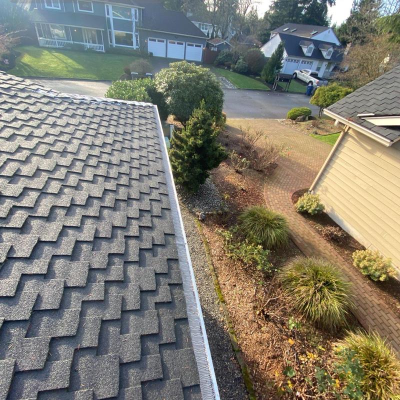 Asphalt shingle roof and gutter cleaning with moss treatment