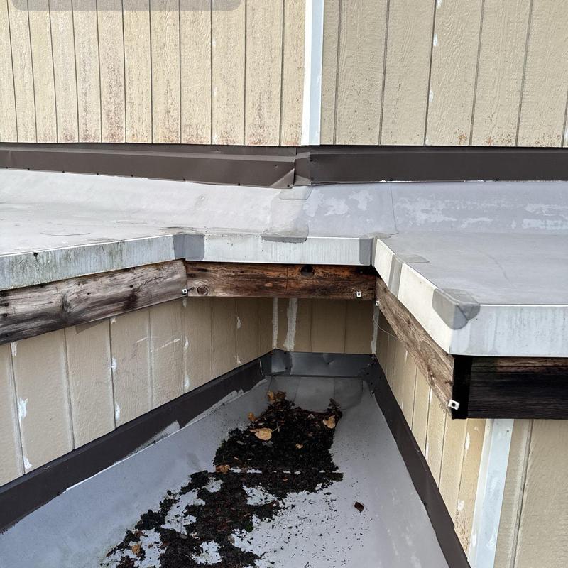 Flat roof debris and base flashing inspection detail