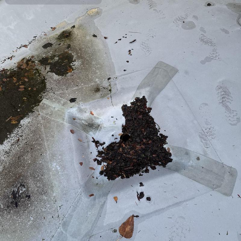 Flat roof debris and dirt buildup near patched area