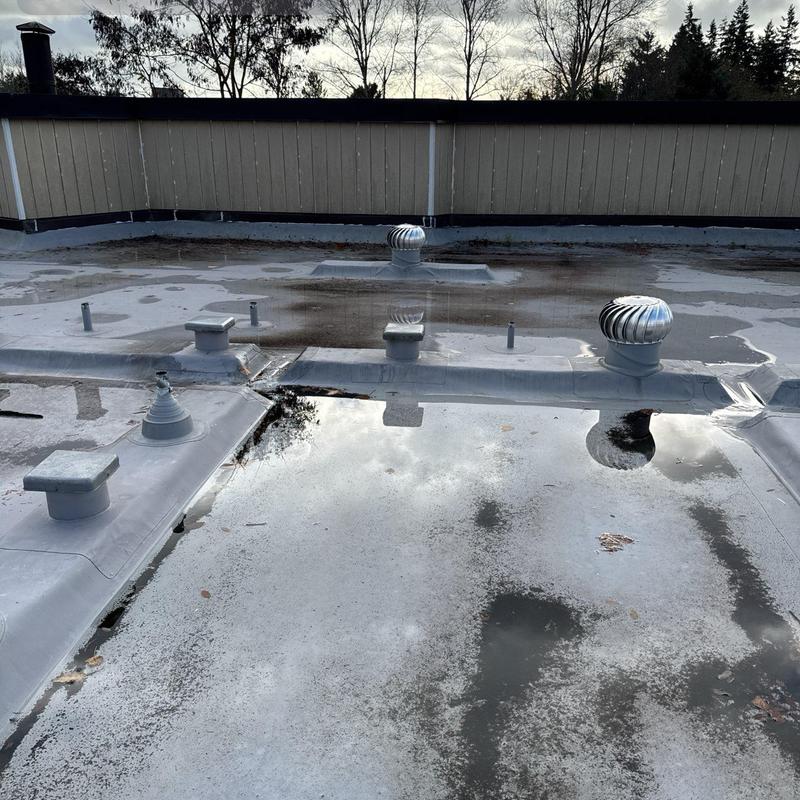 Flat roof membrane with ventilation turbines and water pooling
