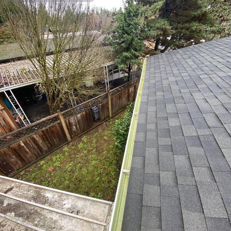 Roof gutters with moss and debris buildup before cleaning