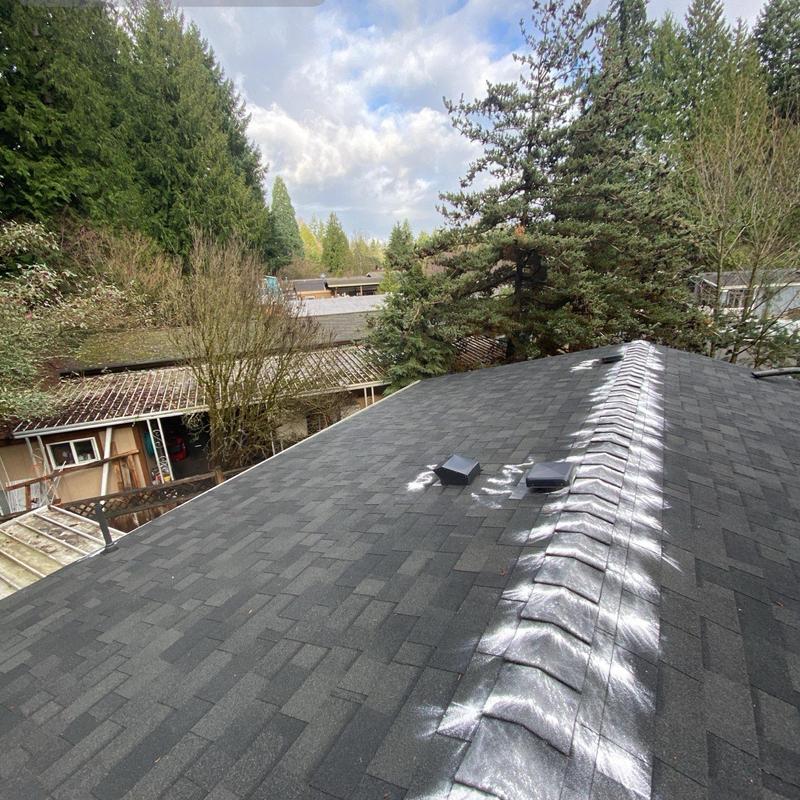 Roof shingles with moss treatment and vent caps