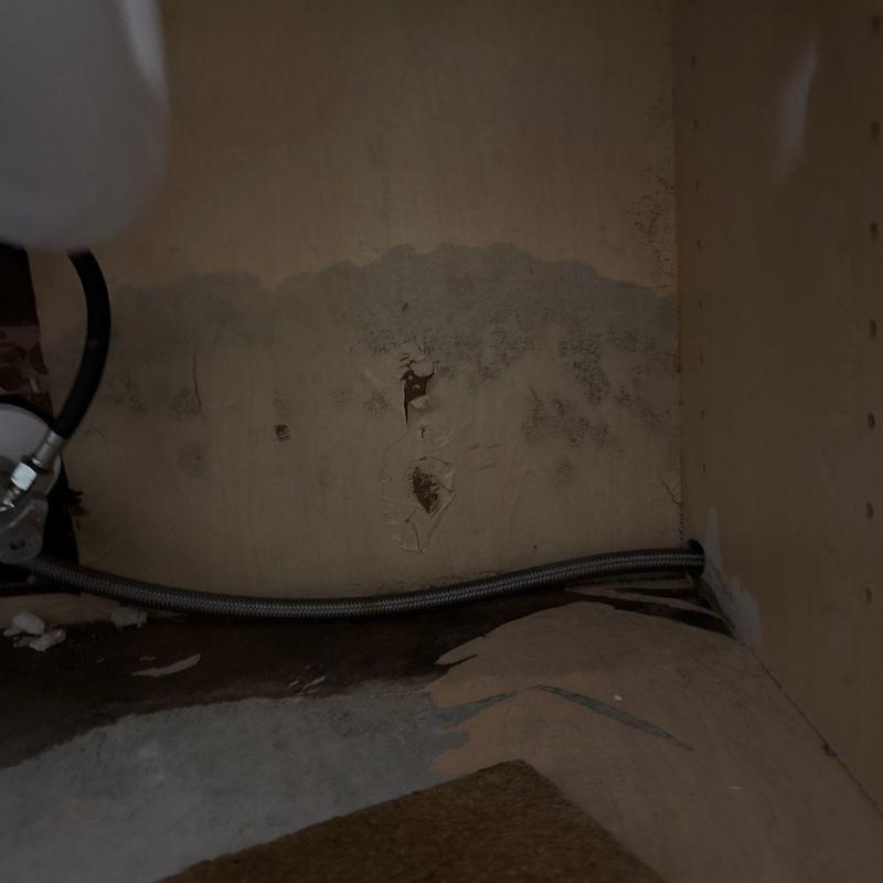 Kitchen cabinet interior with water damage and mold growth