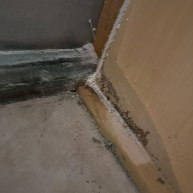 Baseboard corner with mold and dust buildup