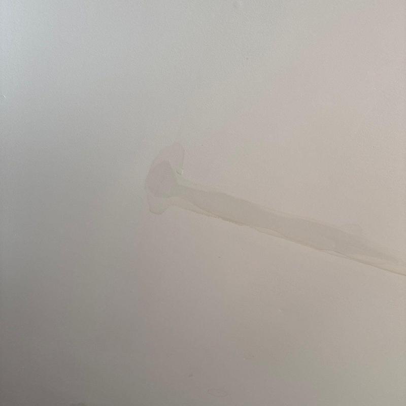 Drywall water stain and damage on ceiling surface
