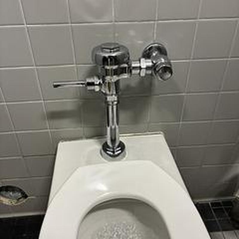 Flushometer valve on women's restroom toilet bowl