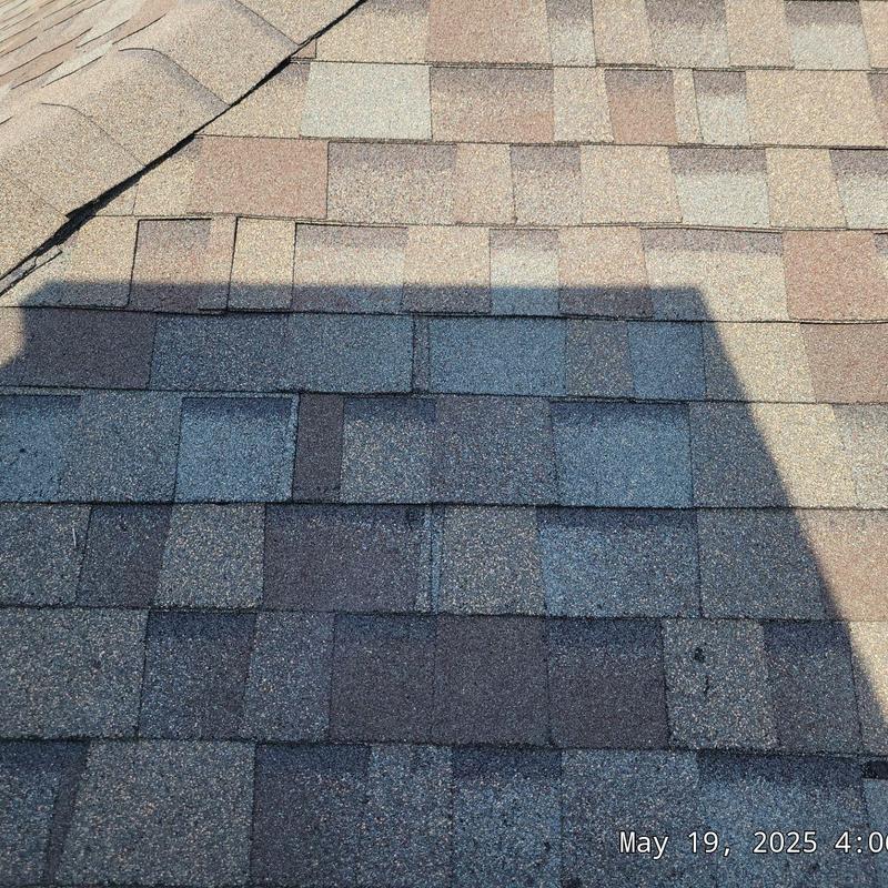 Asphalt roof shingles with replaced sections in sunlight Asphalt roof shingles with replaced sections in sunlight