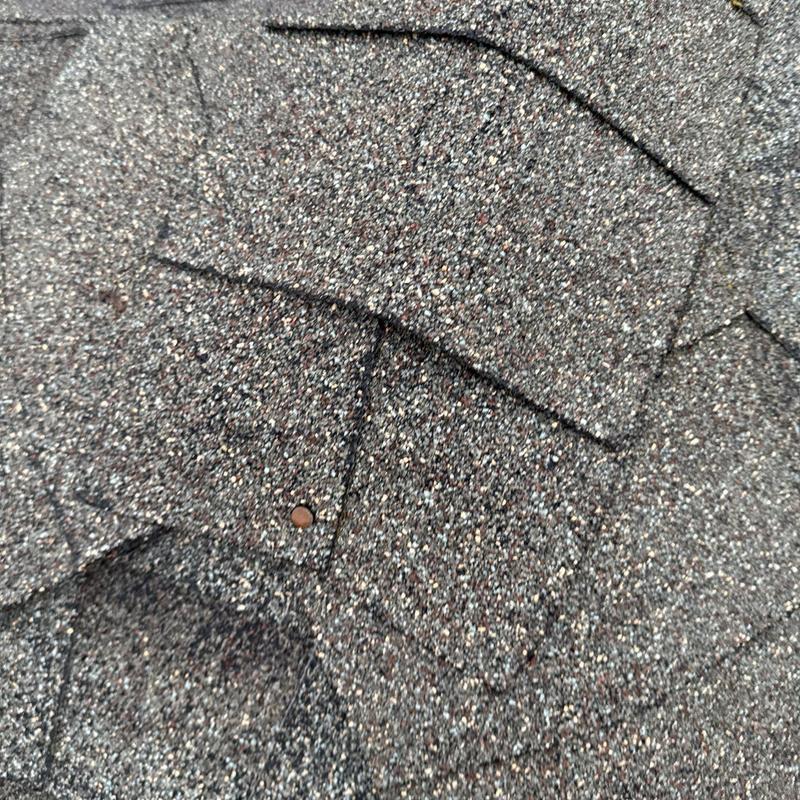 Asphalt roof shingles with visible nail and granule wear