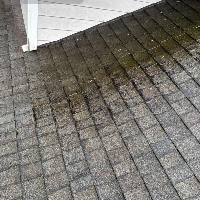 Asphalt shingle roof showing moss and debris buildup
