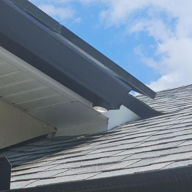 Roof vent rodent protection installation on shingle roof Roof vent rodent protection installation on shingle roof