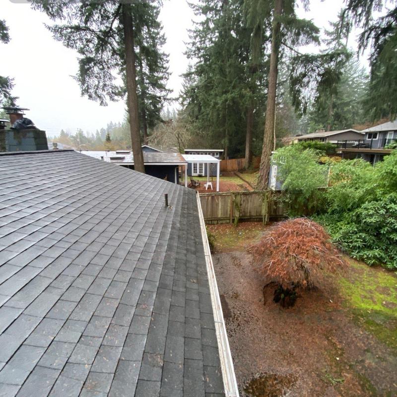 Gutter and roof valley debris removal and moss treatment