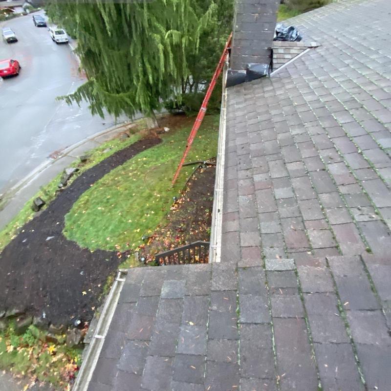 Gutter cleaning and roof moss treatment on shingle roof