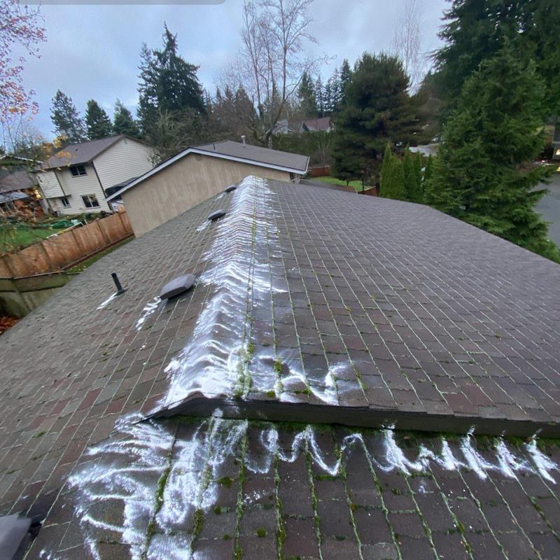 Roof moss treatment on shingle roof ridge and valleys