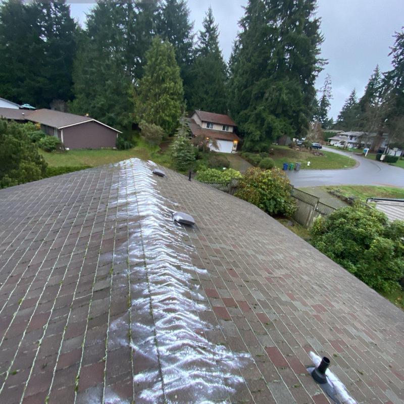 Roof ridge moss treatment on asphalt shingles