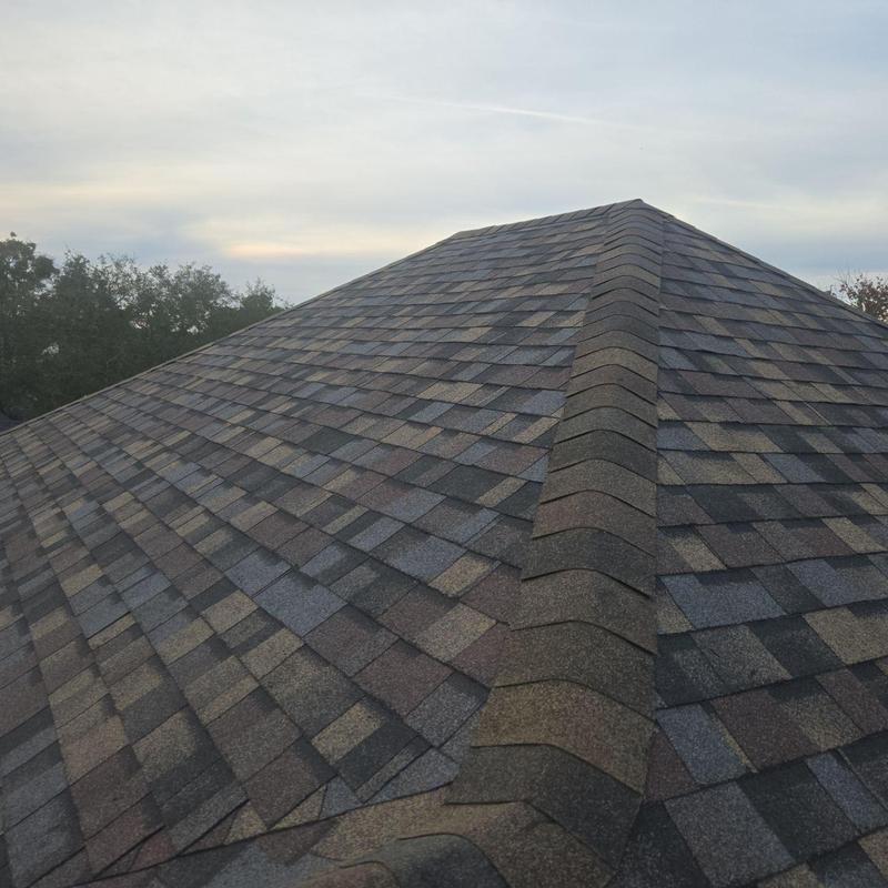 Asphalt shingle roof with ridge cap in Jacksonville Beach Asphalt shingle roof with ridge cap in Jacksonville Beach