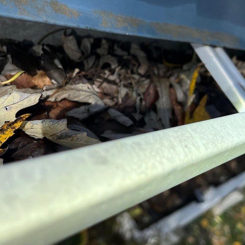 Gutter clogged with leaves and debris buildup