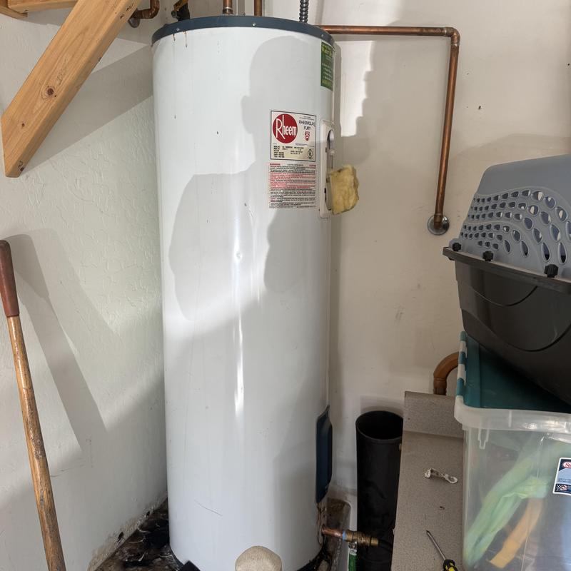 Rheem electric water heater with mold damage