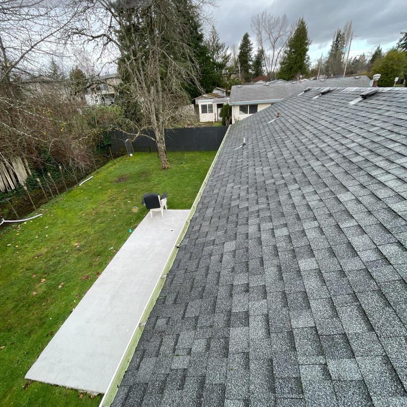Roof shingles and gutters with clean drainage system