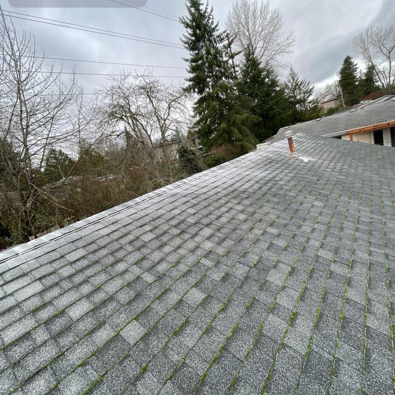 Roof shingles with moss growth before cleaning in Renton, WA