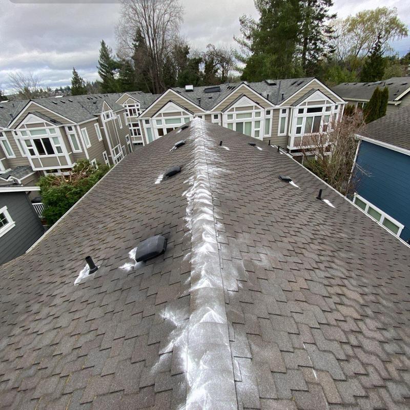 Asphalt shingle roof with moss treatment application