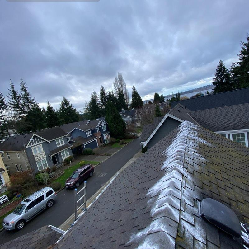 Roof shingles with moss treatment and cleaning residue
