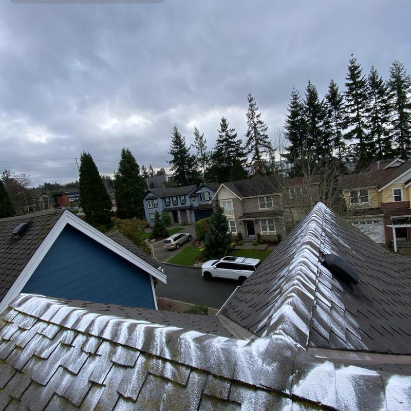 Roof moss treatment and cleaning on residential shingles