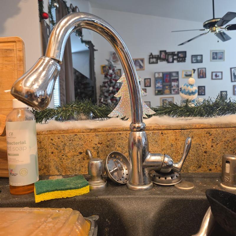 Kitchen faucet with new waterlines and no leaks