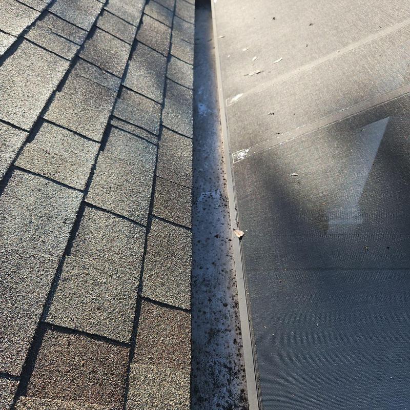 Gutter with installed leaf guard and roof shingles Gutter with installed leaf guard and roof shingles