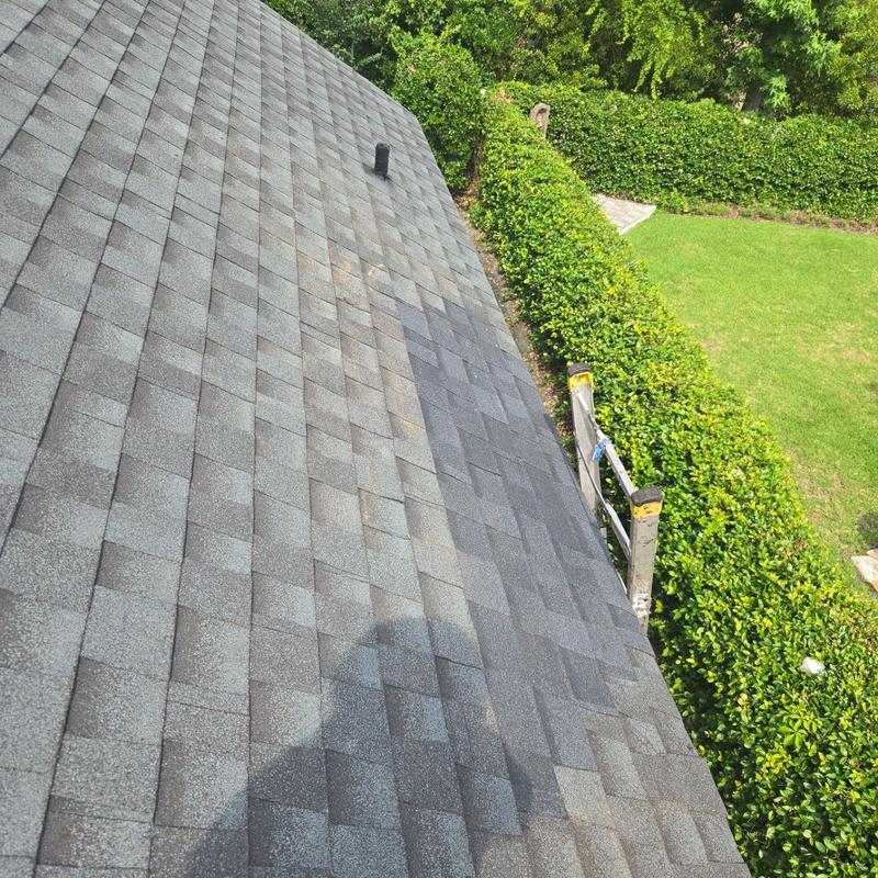 Asphalt shingle roof section with ladder access Asphalt shingle roof section with ladder access