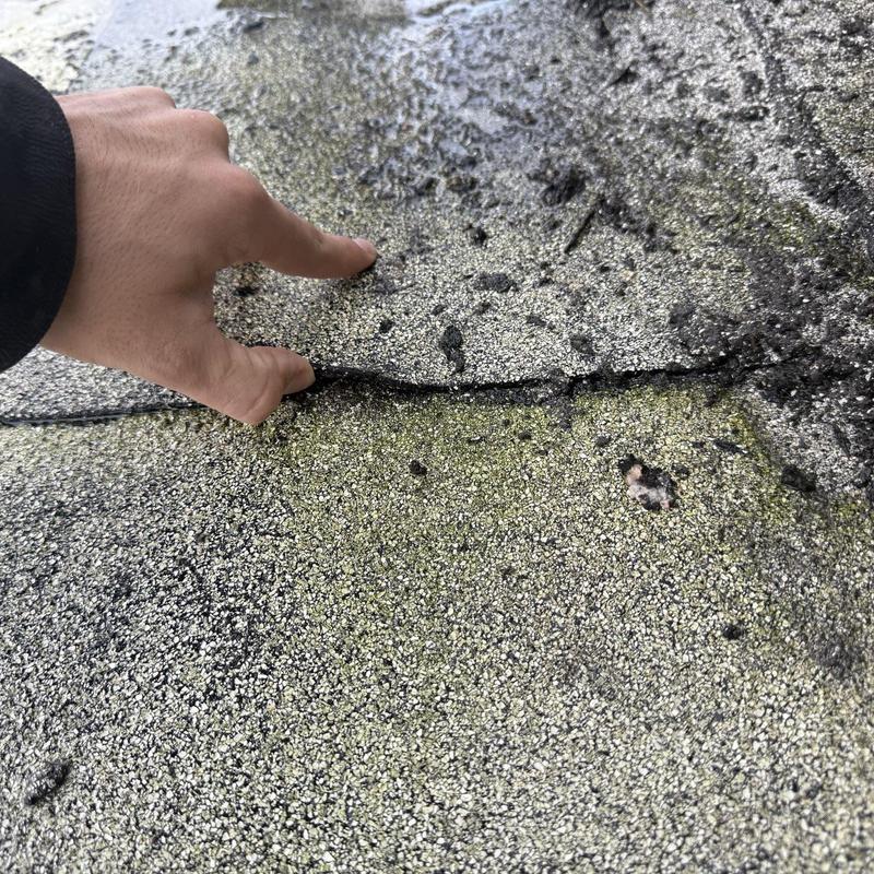 Asphalt shingle roof with raised edges inspection