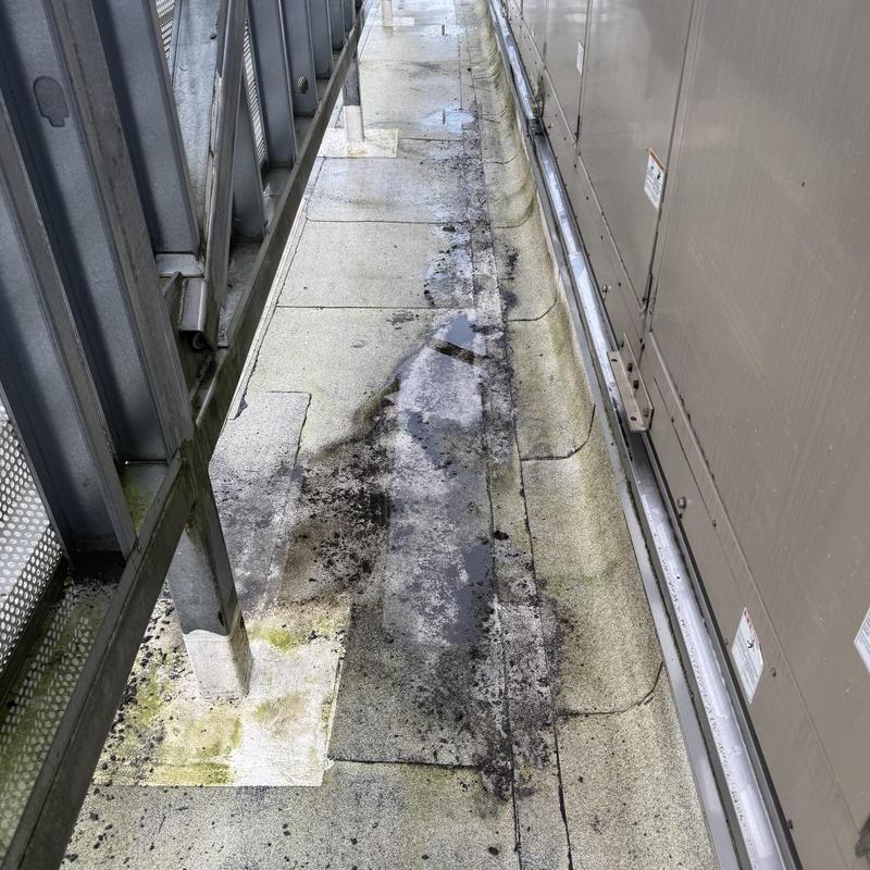 Flat roof walkway with water pooling and debris buildup