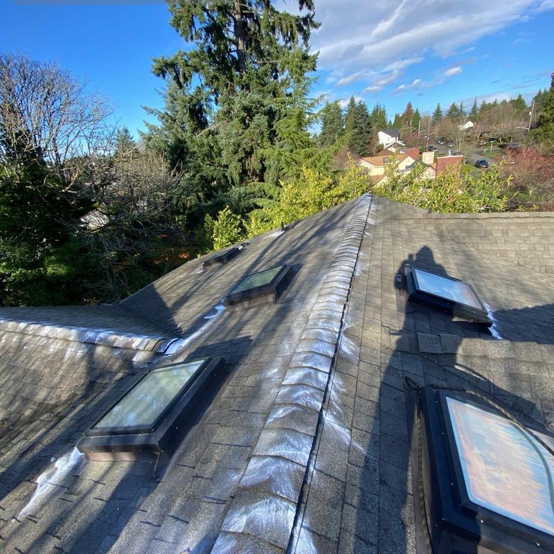Roof skylights and shingles with moss treatment
