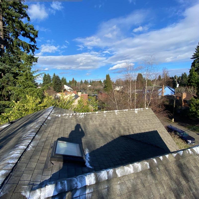 Roof shingles with moss treatment and cleaning