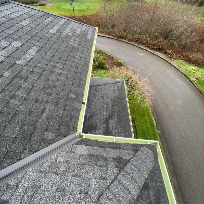 Roof gutters with moss treatment and debris removal