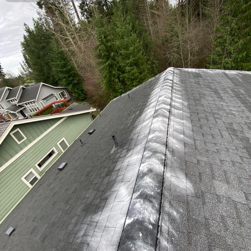Asphalt shingle roof with moss treatment application