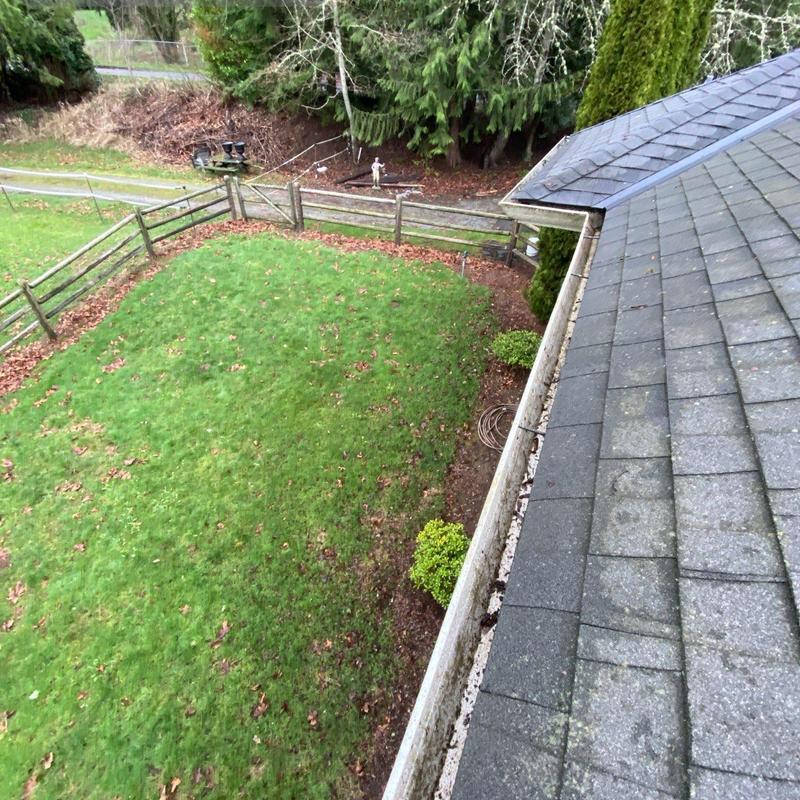 Roof gutters clogged with debris beside shingle roof