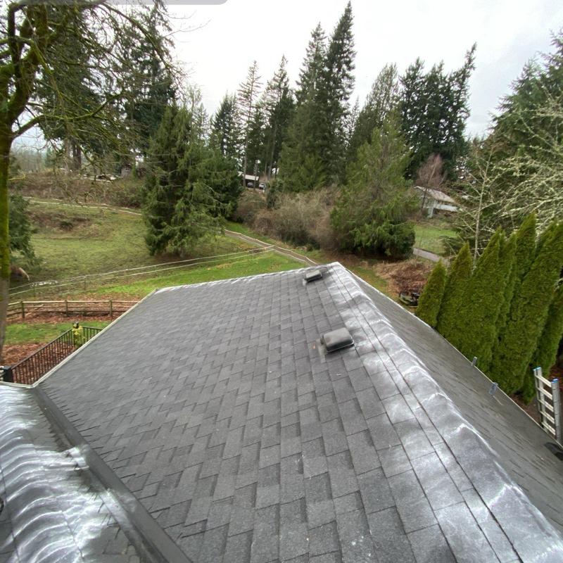 Roof shingles with moss treatment and cleaning in progress