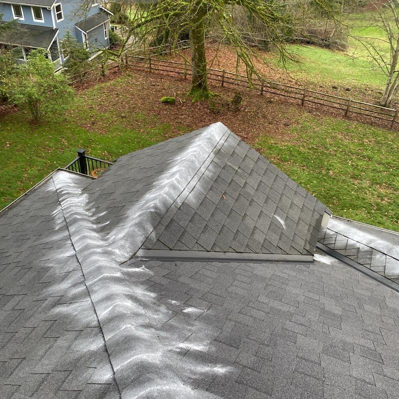 Asphalt shingle roof with moss treatment application