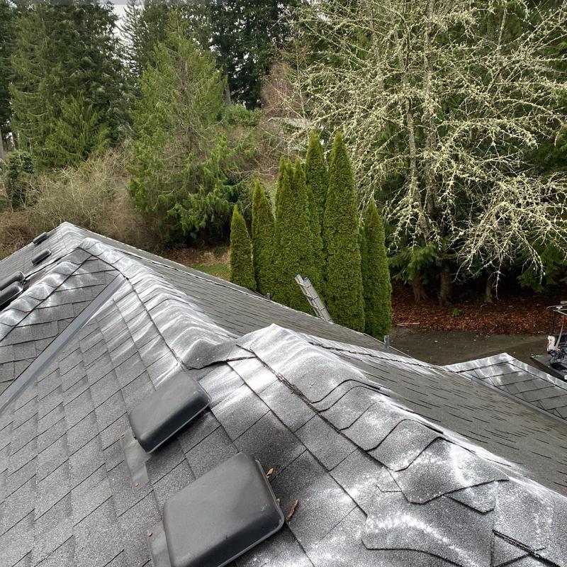Roof shingles with moss treatment residue in Duvall, WA
