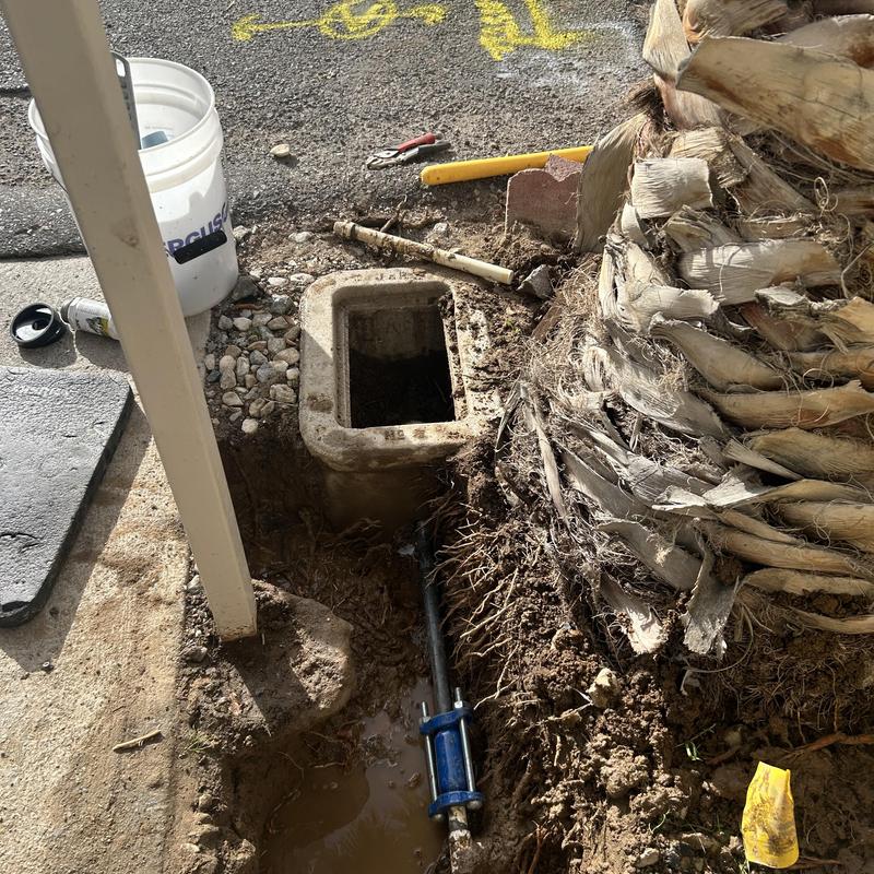 Underground PVC and galvanized water pipe repair near palm tree