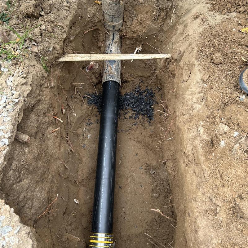 Drain pipe replacement with root removal in trench