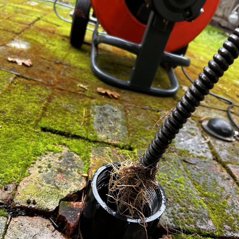 Main drain clog with plumbing snake and roots removal