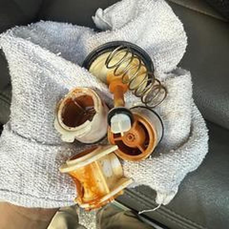 Backflow device parts with rust and spring on cloth